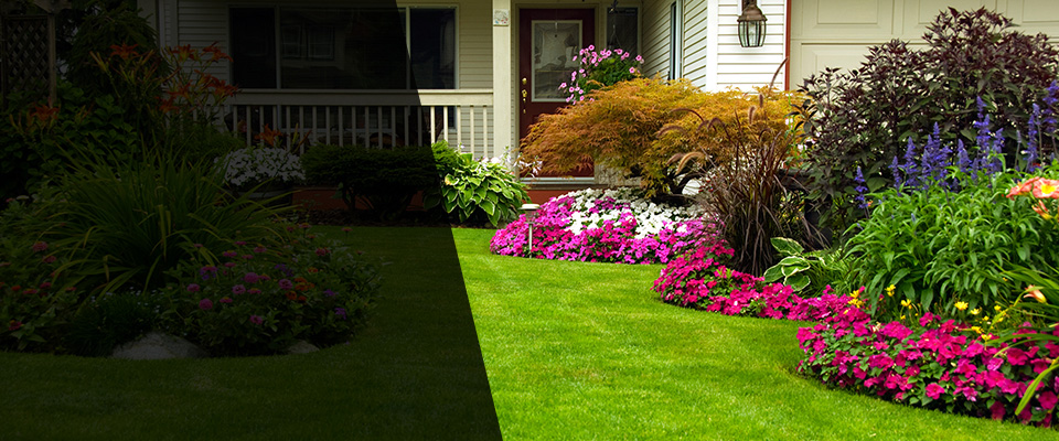 Bastrop Landscapers