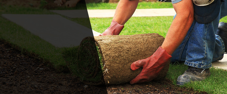 Bastrop Landscapers